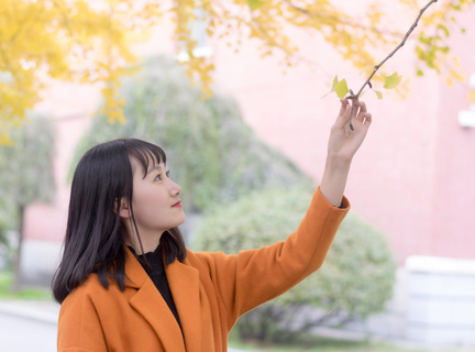 菲律宾宿务有什么海岛(宿务全面解说)